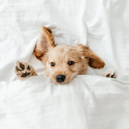 Pestana Cidadela - & Art District 5*